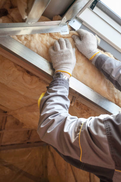 Best Residential Insulation in Stonegate, CO